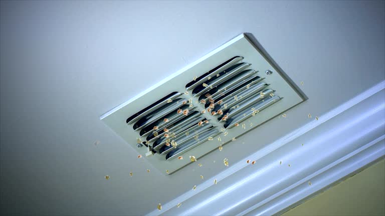 Best Ductwork Cleaning Services  in Windcrest, TX