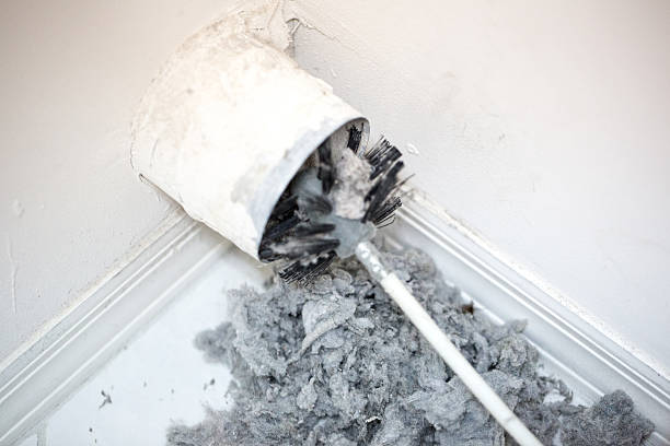 Best Local Air Duct Cleaning Services  in Windcrest, TX